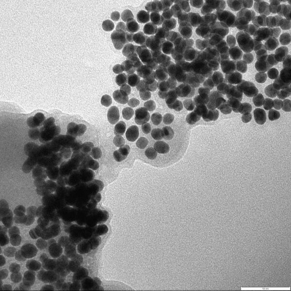 File:5microliter 2 1.jpg