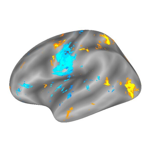 File:Beauchamp FN VisLoc reg.jpg