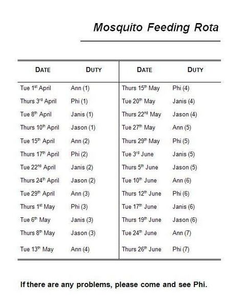 File:Rota feeding2.JPG