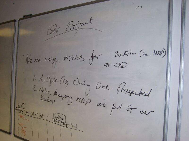 File:IC07 image006.jpg