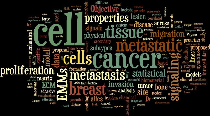 File:NSF PESO wordle.jpg