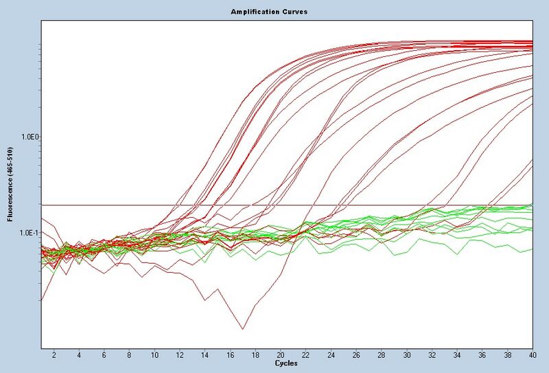 File:S14 M3D5 WF CNII-noiseband.jpg