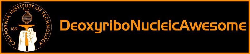 File:DeoxyriboNucleicAwesomeHeader.jpg