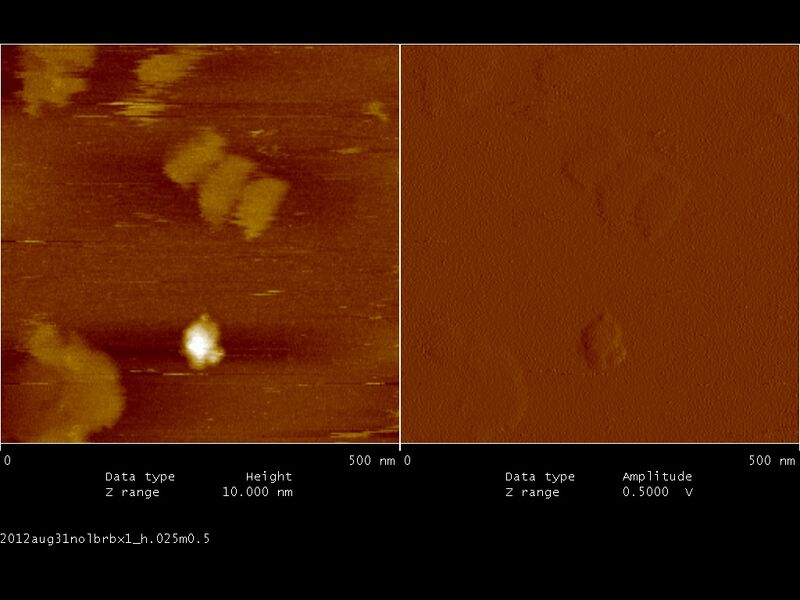 File:Biomod-2012-UToky​o-UT-Hongo-2012aug31nolbrbx1 h.025m0.5.jpg