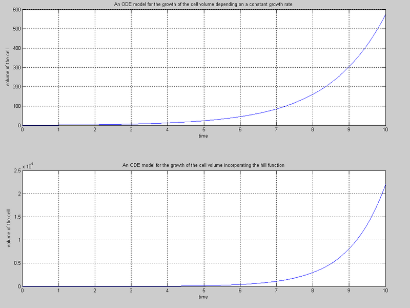 File:Const growth graph.TIF