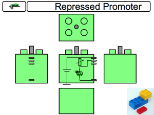 Repressed Promoter Component