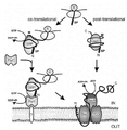 Thumbnail for version as of 14:05, 21 July 2010