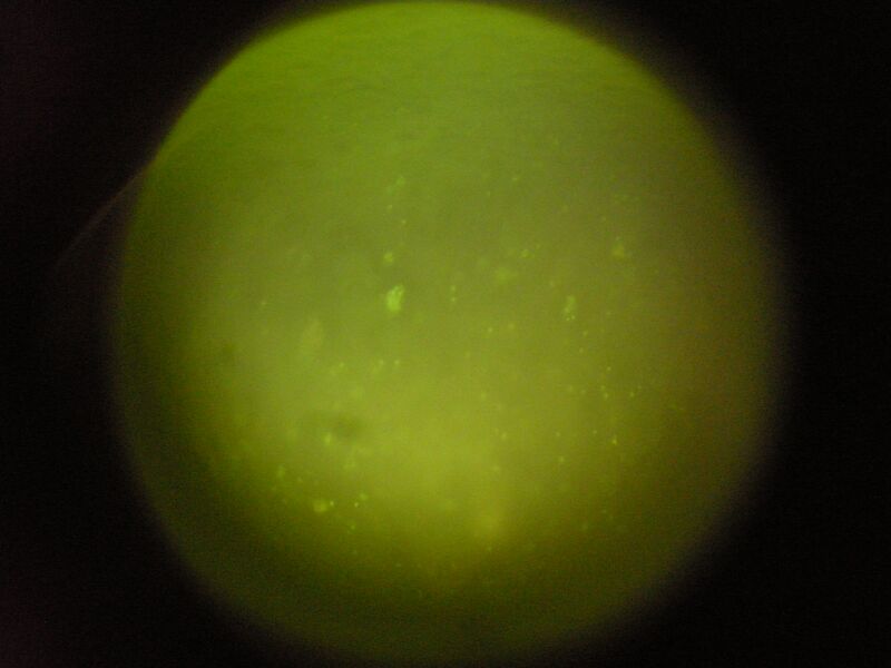 File:TR PY 01 mgml 3.JPG