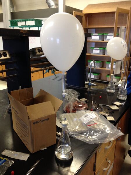 File:20140124 balloon1 mrh.jpg