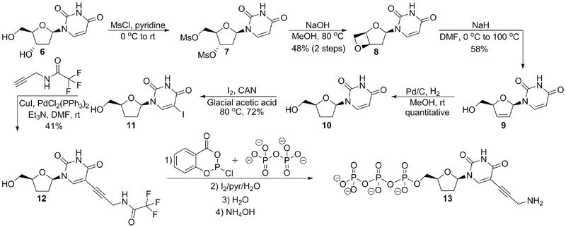 File:Biomod Aarhus Chem ddUTP Scheme.png