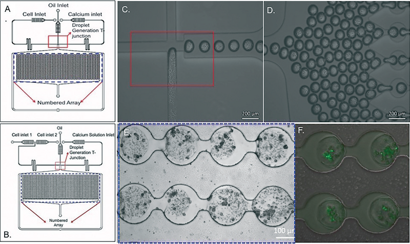 File:Droplet Formation.png