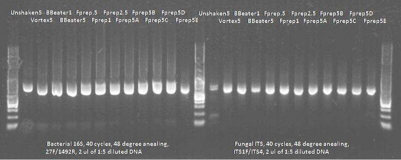 File:SoilShakePCR.jpg