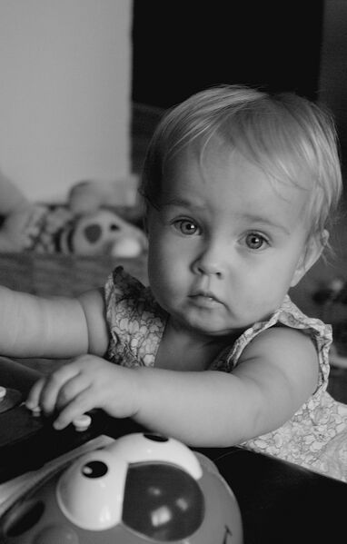 File:Svala 1 año .JPG