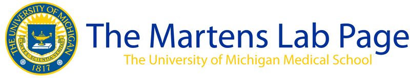 File:Webpage banner.jpg