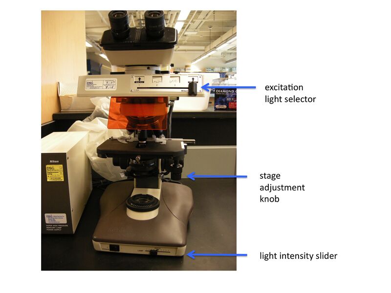 File:20109 fluor-scope front.jpg
