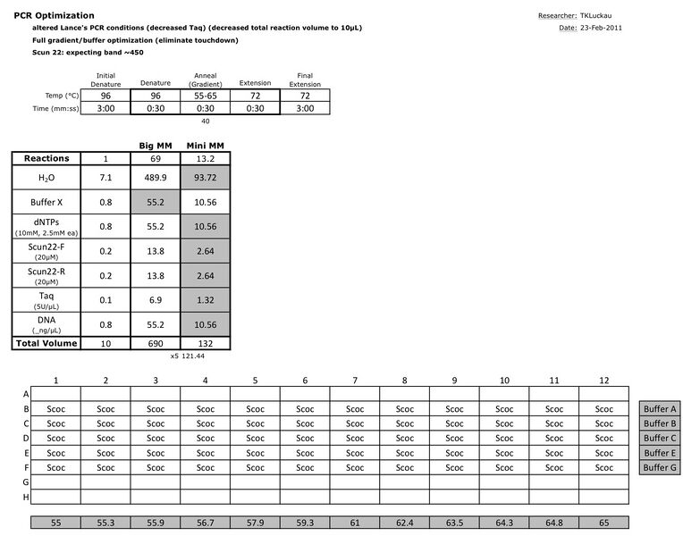 File:20110223 PCR.jpg