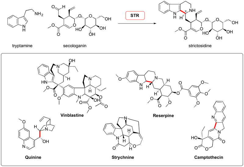 File:2011 Waldmann ACI4.png
