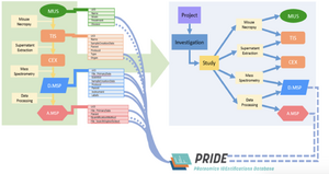 A diagram showing how the data stored in SEEK allows for easy upload to public repositories