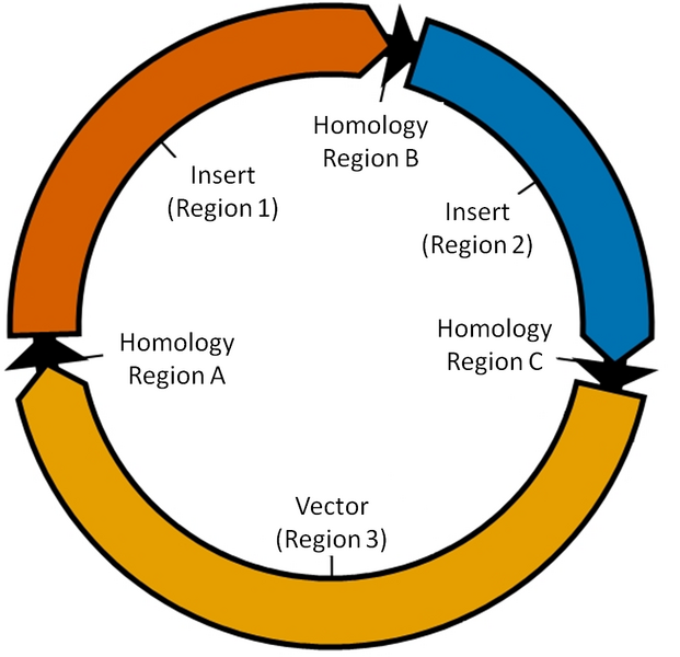 File:Plasma Tutorial2.PNG