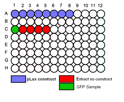 96 Plate Schematic