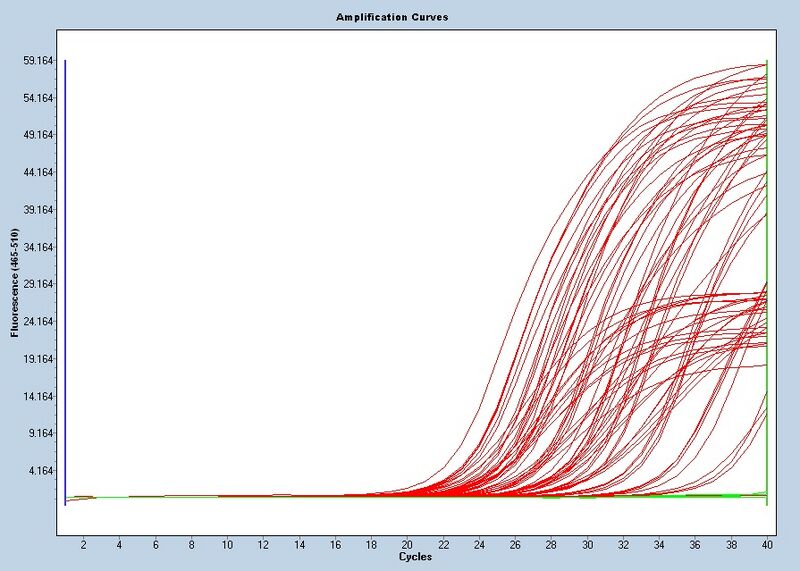 File:S11 M3D5 TR raw.jpg
