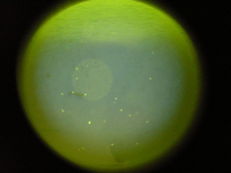 File:S14 TR M3D3 YlwPnk 10.jpg