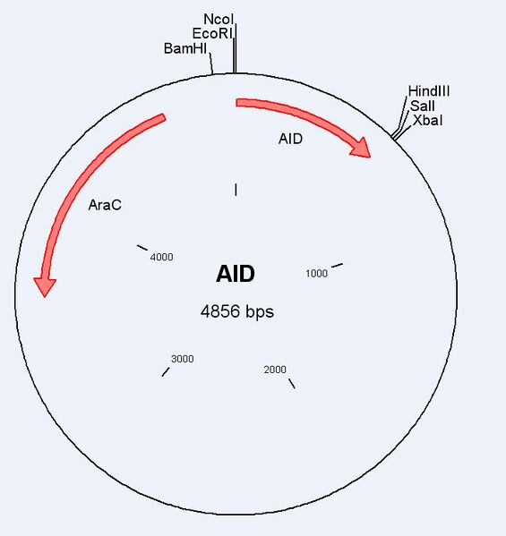 File:UW AID.wmf