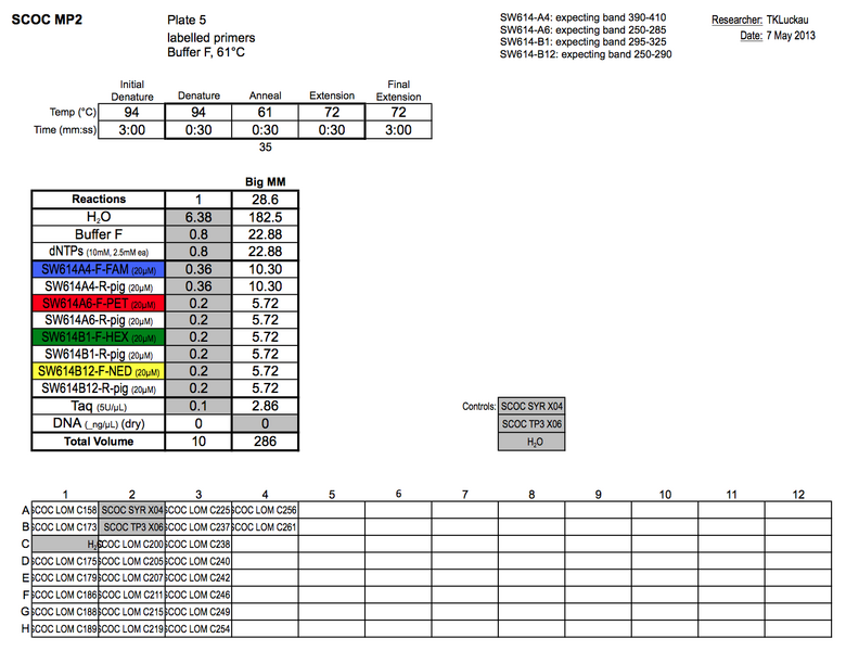 File:20130507 PCR.png