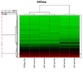 Thumbnail for version as of 02:20, 27 January 2009