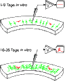 Thumbnail for version as of 09:09, 14 October 2010