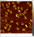 Thumbnail for version as of 09:01, 2 November 2011