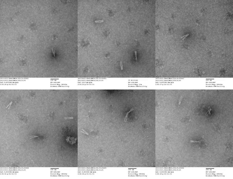 File:20111021 theU BM24 2C6 15 65.png