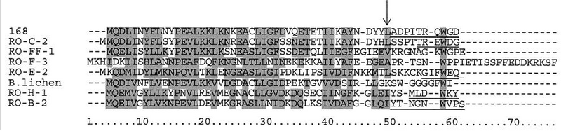 File:Cleavage sites ComX.bmp