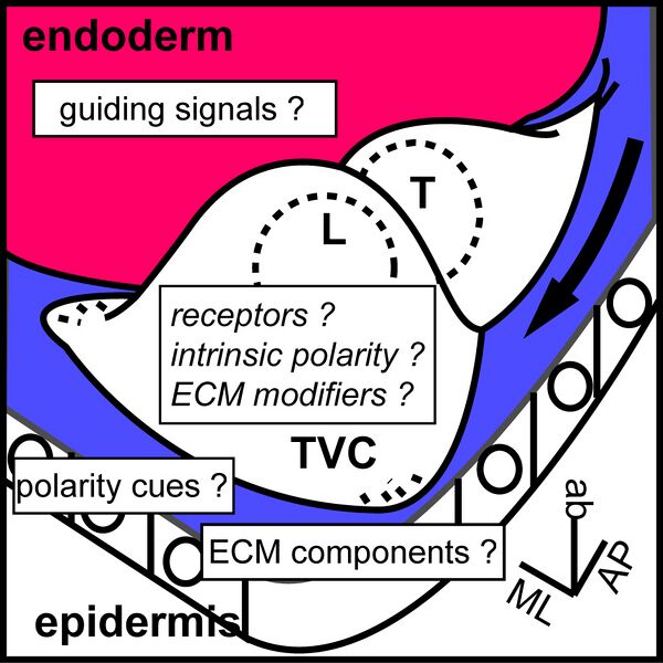 File:Research Fig3.jpg