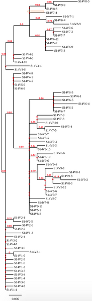 File:Screen Shot 2020-02-20 at 2.51.01 PM.png