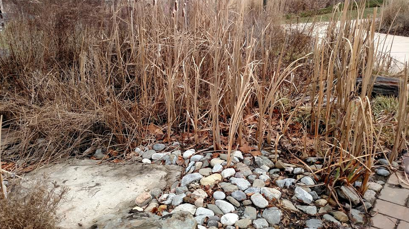 File:The Marsh II.jpg