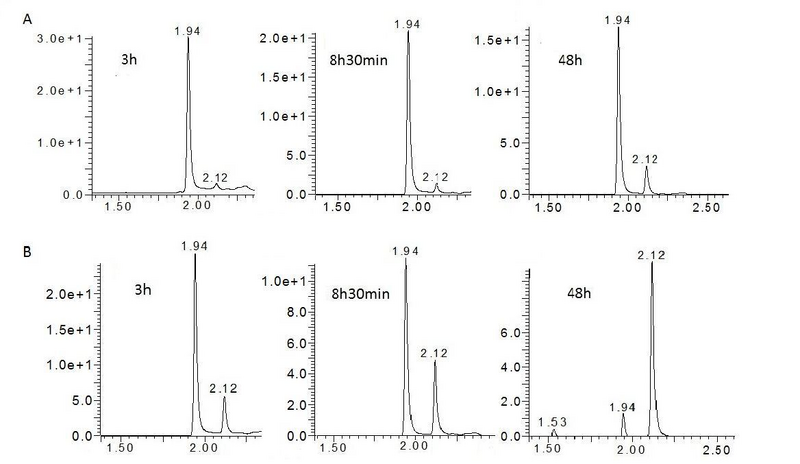 File:Triblock nanoreactors pa.png
