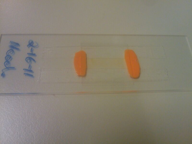 File:2011-02-17 12.53.33.jpg