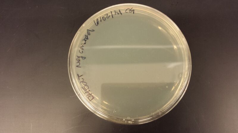 File:20140603 103644.jpg