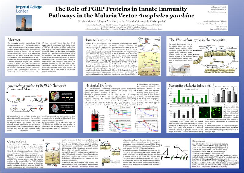 File:BioMalPar Poster.png