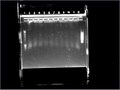 27/08/2008 Plasmid diag