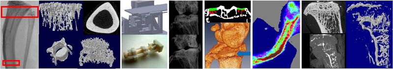 File:Pathomechanobiology Banner5.JPG