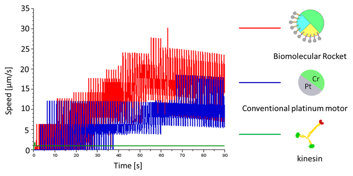 Simulation of high-speed