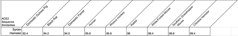 File:Horvath Sequence Similarity.png