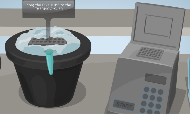 File:Thermo cylinder.png