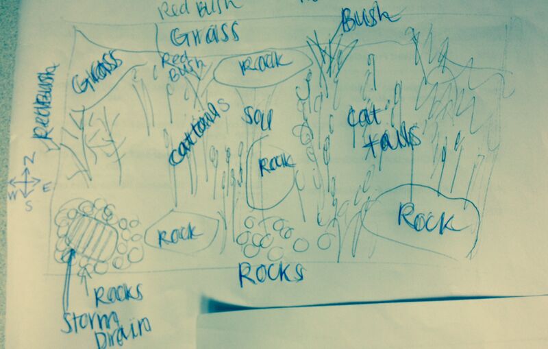 File:Topographical Map of Transect1.JPG