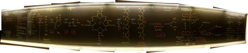 File:Baylor Blackboard.jpg