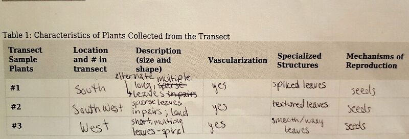 File:Plnt Charact 1-3.jpg