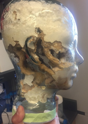 A bioart piece, G. lucidum, c/o I. Justice.