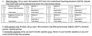 Snapshot of the worksheet for planning PCR reactions.